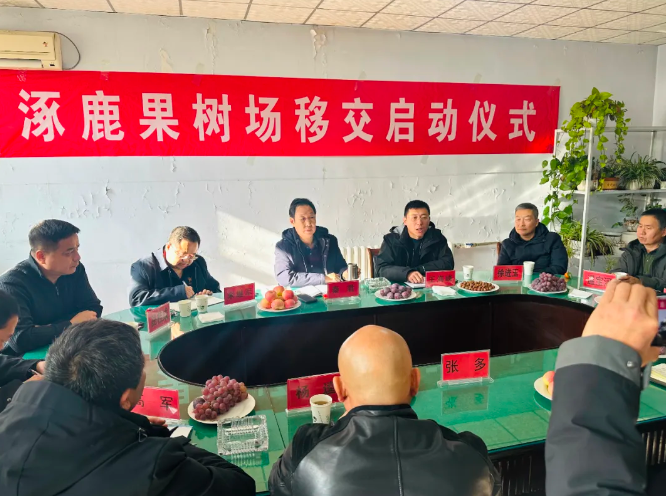 1737017894420562.png image.png